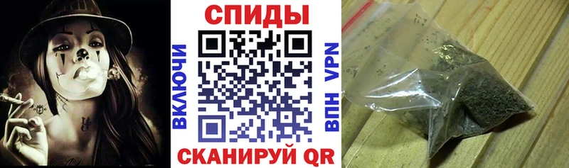 БУТИРАТ буратино Светлогорск