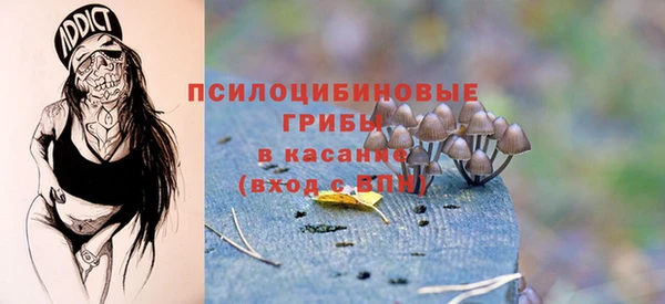 ECSTASY Краснослободск