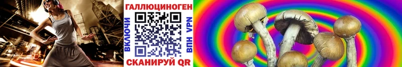 Псилоцибиновые грибы GOLDEN TEACHER  Купить закладки  Светлогорск 